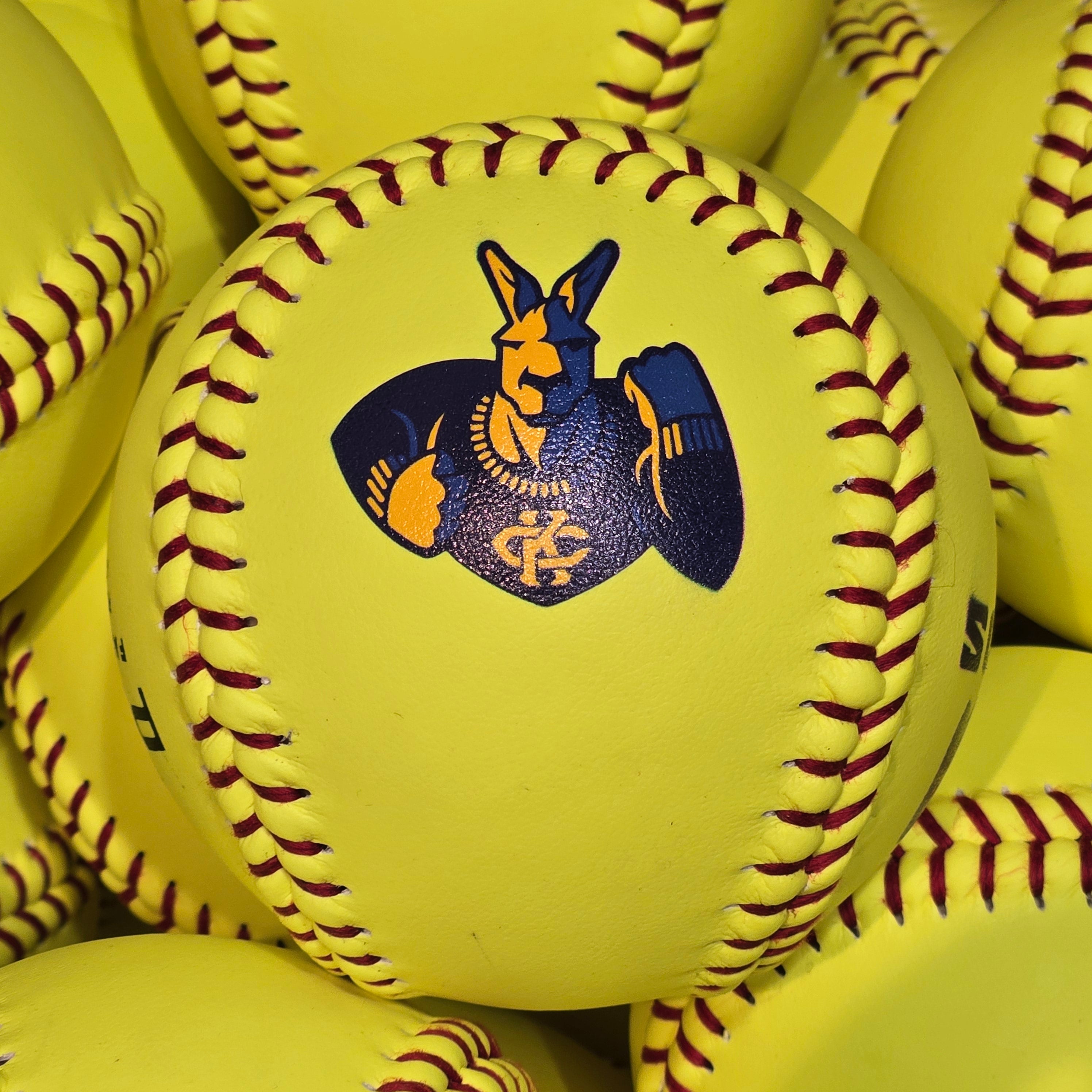 CUSTOM LOGO PWR 11" Leather Poly-Core Softball - .375 LBS .47 COR (DOZEN)